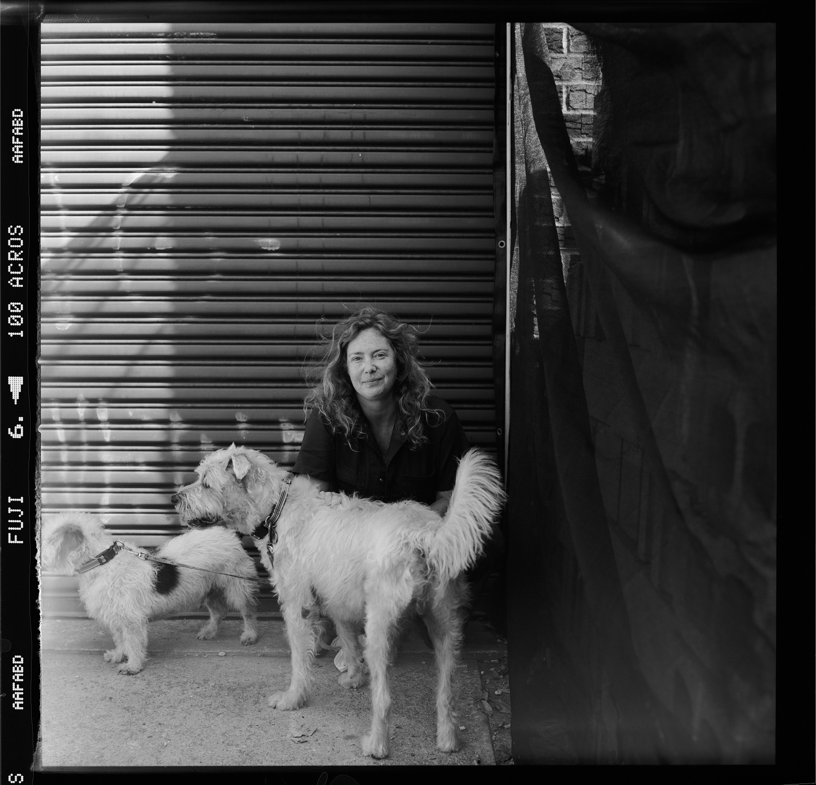 Elizabeth Ehrhardt with her dogs in Red Hook Brooklyn