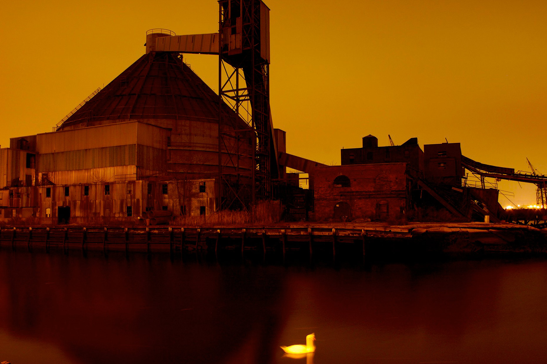 sugar-refinery-at-night-in red hook with a swan.jpg